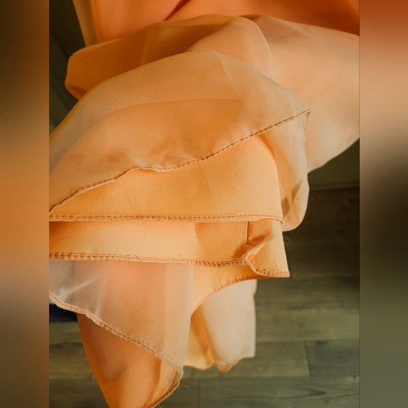 Vintage Chiffon Prairie Maxi Dress with Lace Trim - Picture 11 of 12